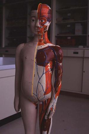 宇都宮で胃腸科を探している人にお勧め