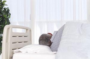 有田市の歯医者ささの歯科クリニック