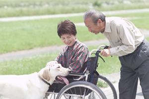 おしっこに血がっ！山形の医者に相談だ