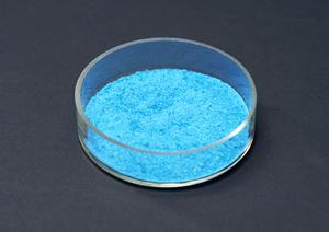 相模湾沿いにある透析専門病院「西部腎臓クリニック」