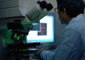 総合的な歯科治療が行われています