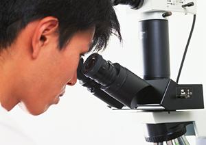 堺で痛くない胃カメラを受診できます