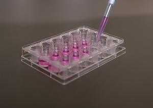 【2025年最新版】皮膚科で効果的な対策法と最新治療情報を詳しく解説